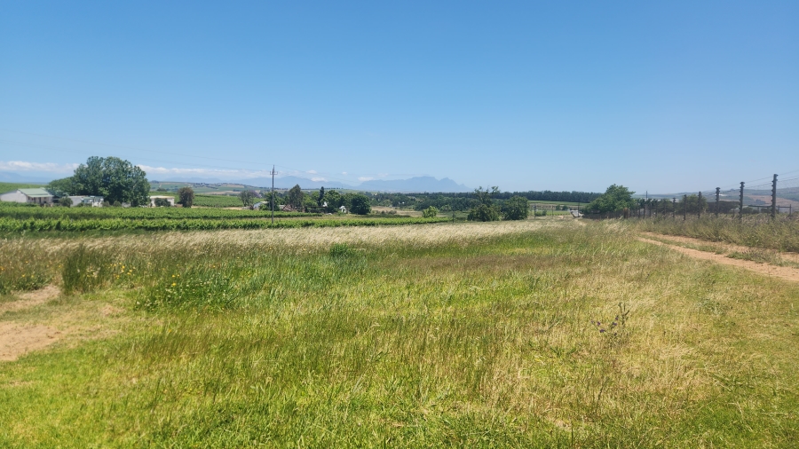 Commercial Property for Sale in Stellenbosch Farms Western Cape